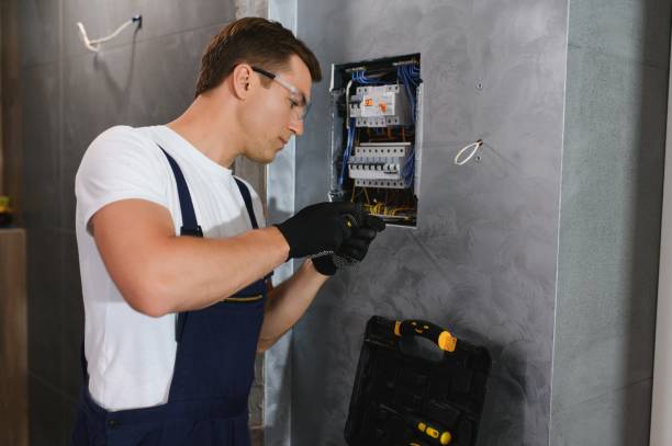 Best Affordable Electrician  in Orion, IL